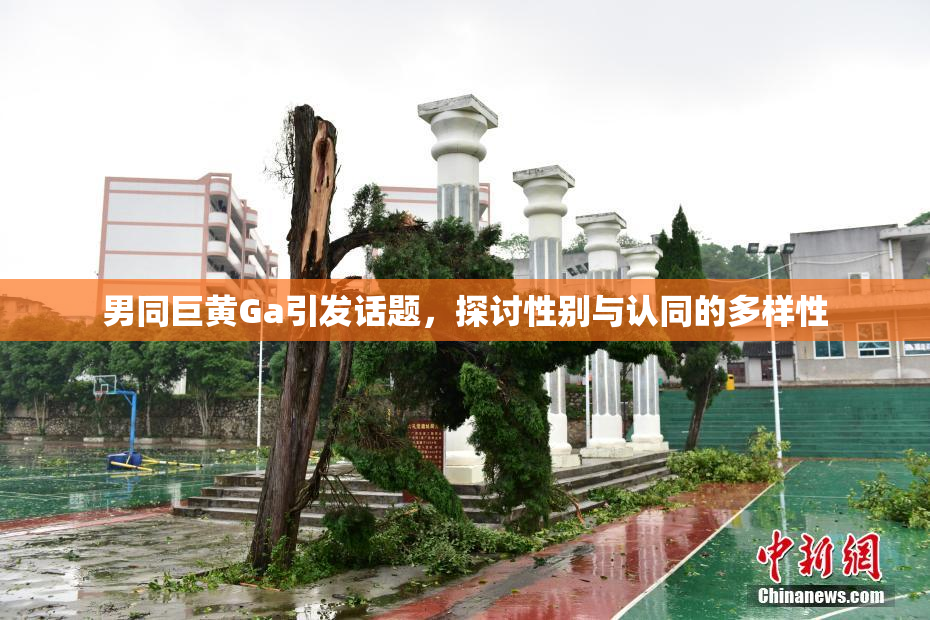 男同巨黄Ga引发话题，探讨性别与认同的多样性