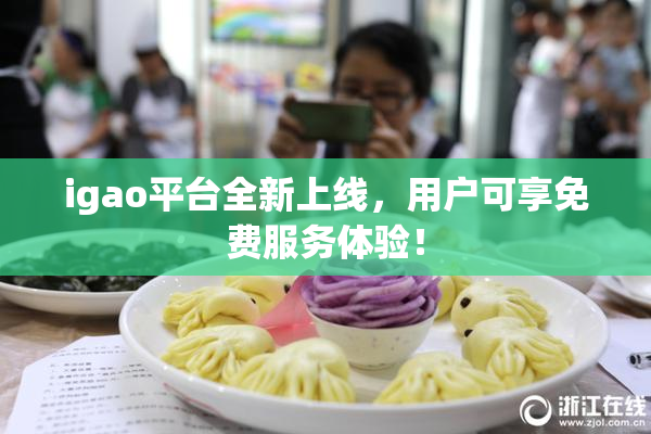 igao平台全新上线，用户可享免费服务体验！