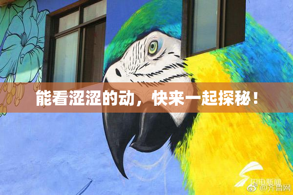 能看涩涩的动，快来一起探秘！
