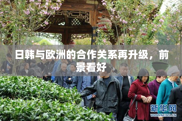 日韩与欧洲的合作关系再升级，前景看好