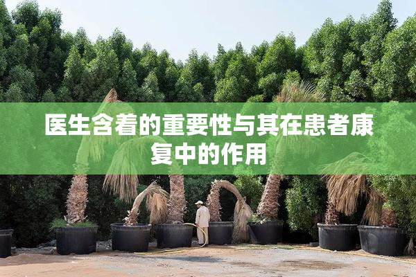 医生含着的重要性与其在患者康复中的作用