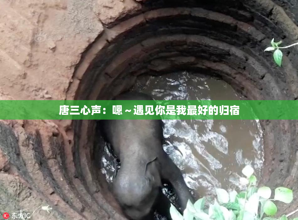 唐三心声：嗯～遇见你是我最好的归宿