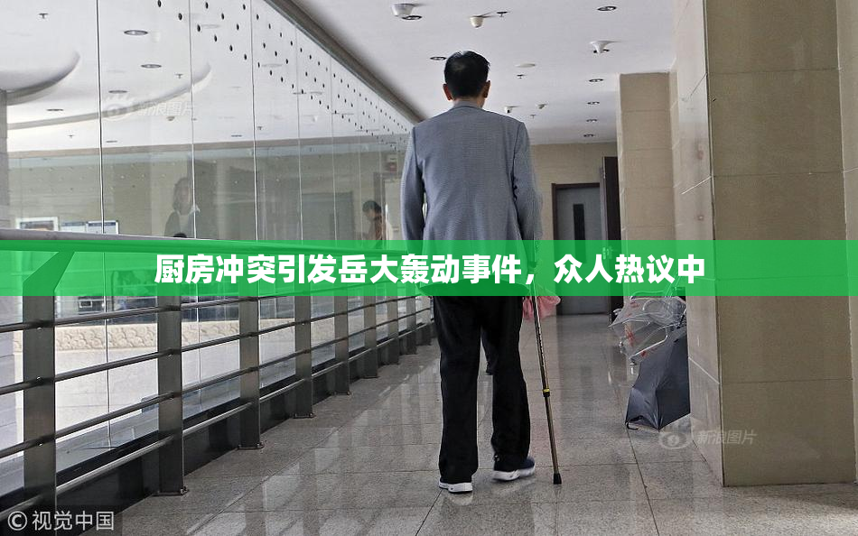 厨房冲突引发岳大轰动事件，众人热议中