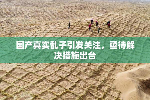 国产真实乱子引发关注，亟待解决措施出台
