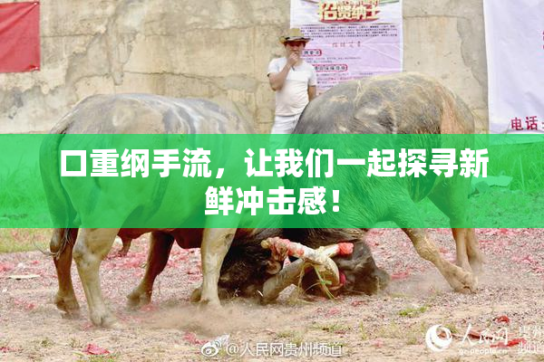 口重纲手流，让我们一起探寻新鲜冲击感！