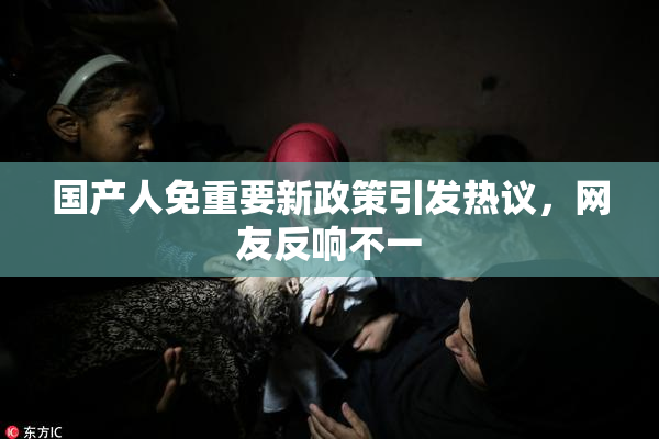 国产人免重要新政策引发热议，网友反响不一