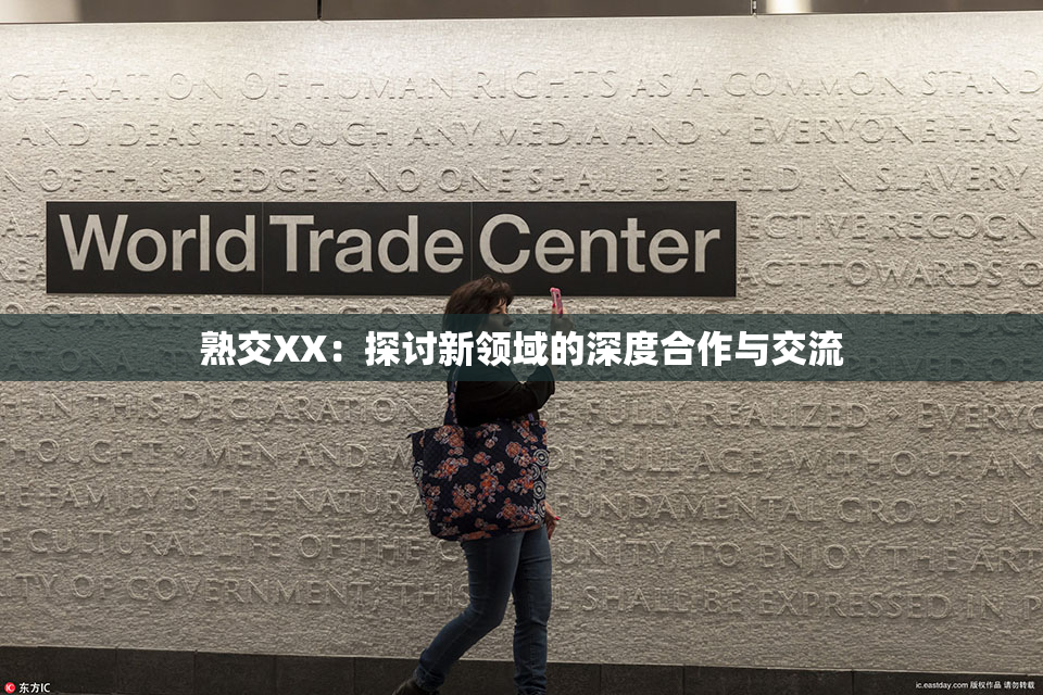 熟交XX：探讨新领域的深度合作与交流