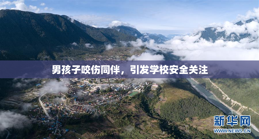 男孩子咬伤同伴，引发学校安全关注