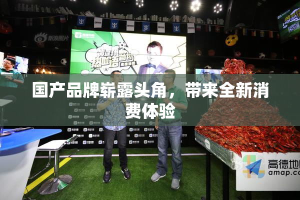 国产品牌崭露头角，带来全新消费体验