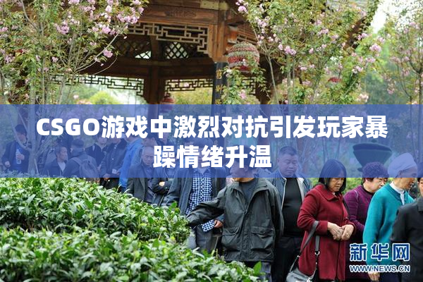 CSGO游戏中激烈对抗引发玩家暴躁情绪升温