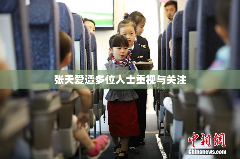 张天爱遭多位人士重视与关注