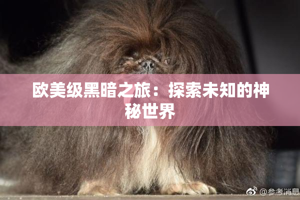 欧美级黑暗之旅：探索未知的神秘世界