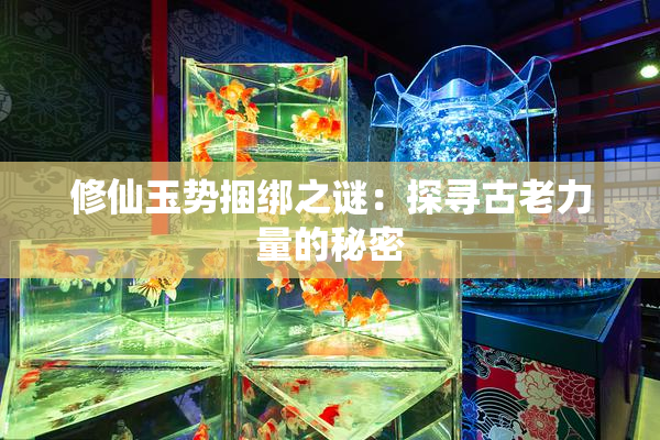修仙玉势捆绑之谜：探寻古老力量的秘密