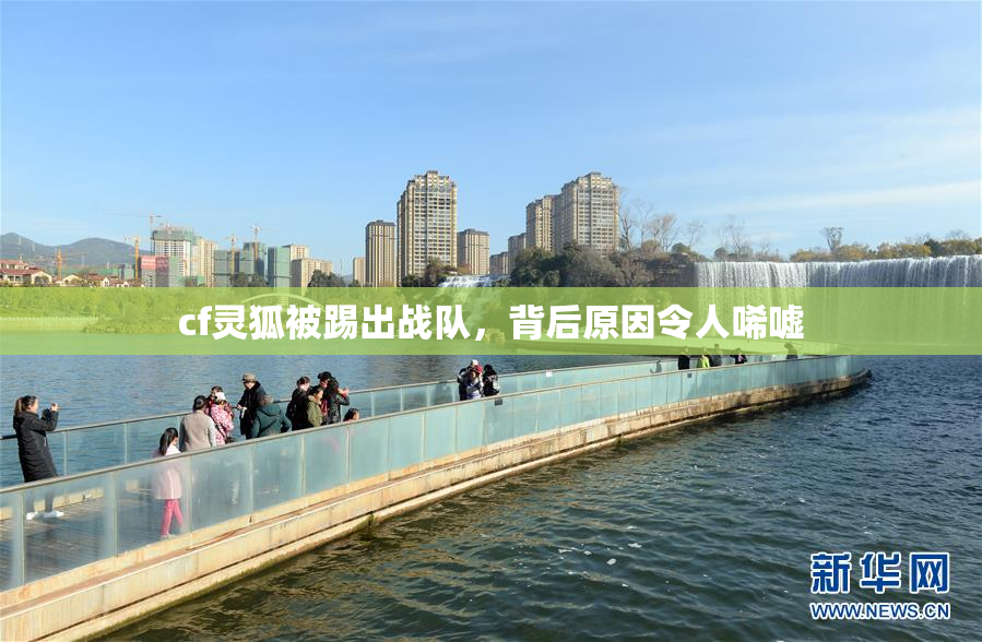 cf灵狐被踢出战队，背后原因令人唏嘘