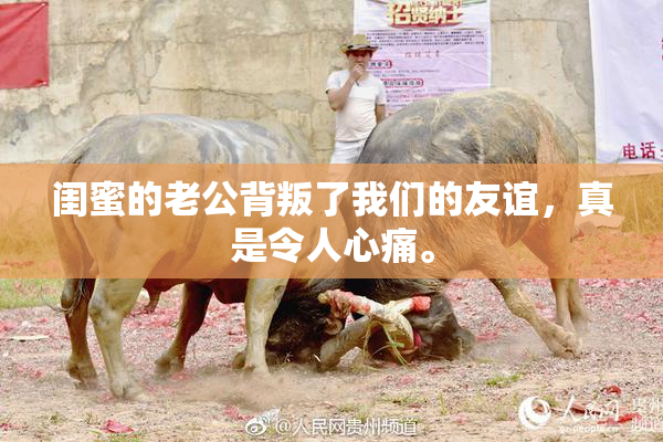 闺蜜的老公背叛了我们的友谊，真是令人心痛。
