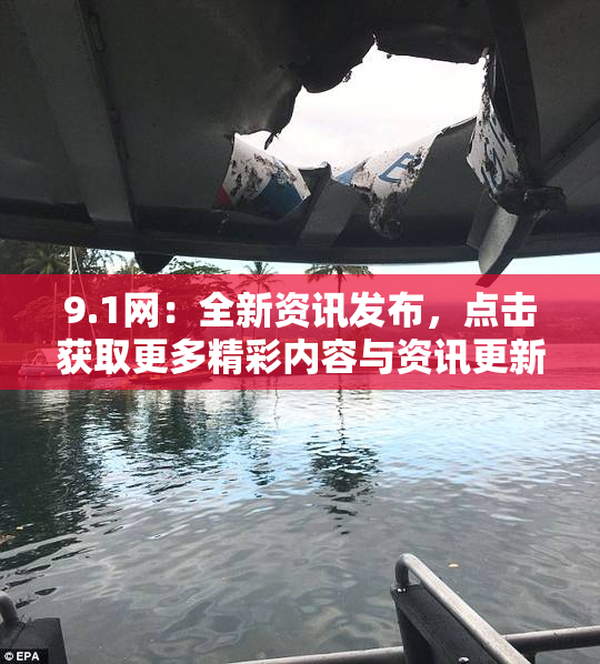 9.1网：全新资讯发布，点击获取更多精彩内容与资讯更新！