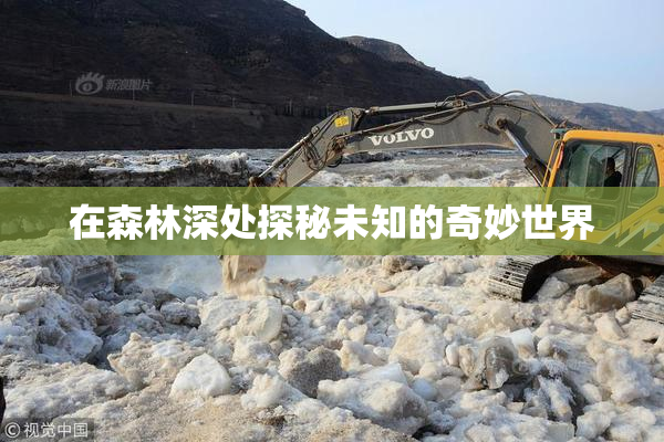 在森林深处探秘未知的奇妙世界