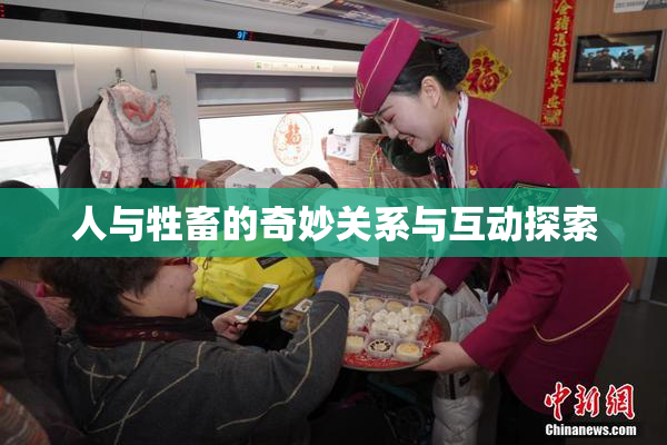 人与牲畜的奇妙关系与互动探索