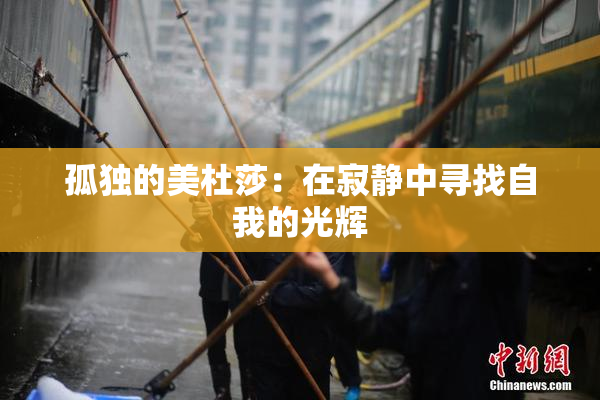 孤独的美杜莎：在寂静中寻找自我的光辉