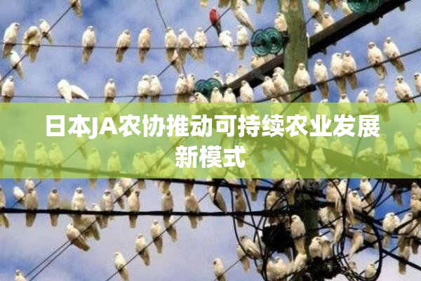 日本JA农协推动可持续农业发展新模式
