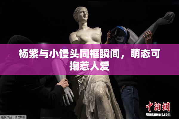 杨紫与小馒头同框瞬间，萌态可掬惹人爱