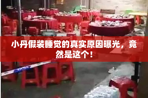小丹假装睡觉的真实原因曝光，竟然是这个！