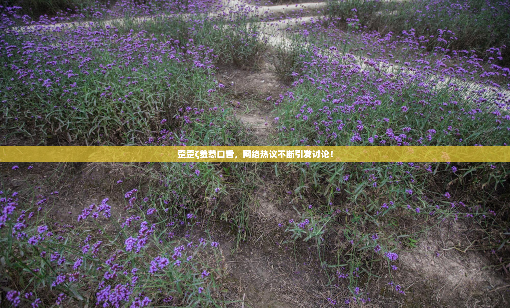 歪歪ζ羞惹口舌，网络热议不断引发讨论！