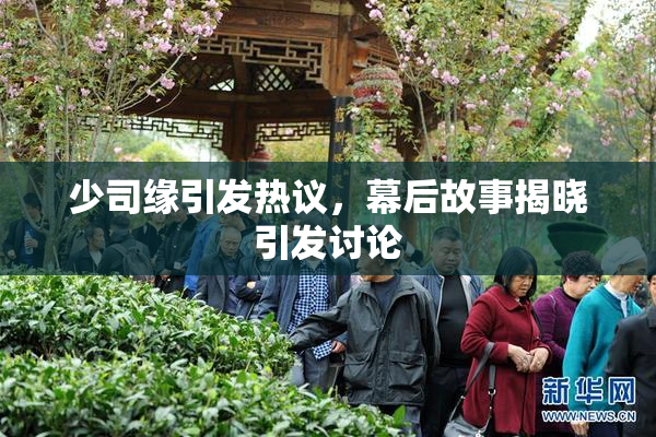 少司缘引发热议，幕后故事揭晓引发讨论