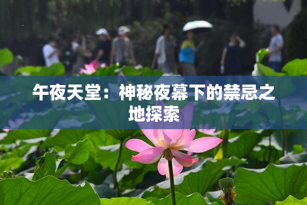 午夜天堂：神秘夜幕下的禁忌之地探索