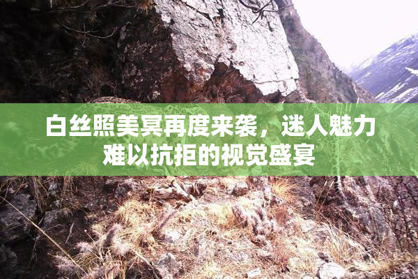 白丝照美冥再度来袭，迷人魅力难以抗拒的视觉盛宴