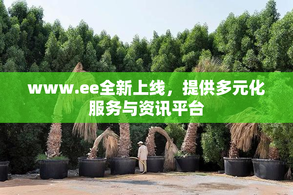 www.ee全新上线，提供多元化服务与资讯平台