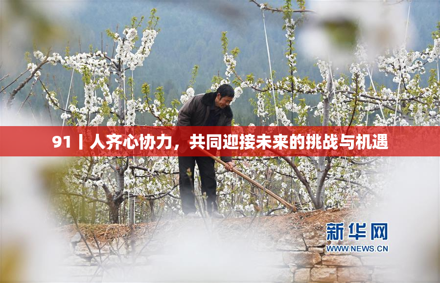 91丨人齐心协力，共同迎接未来的挑战与机遇