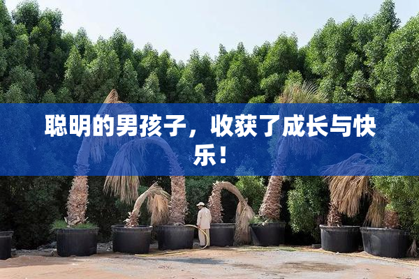 聪明的男孩子，收获了成长与快乐！