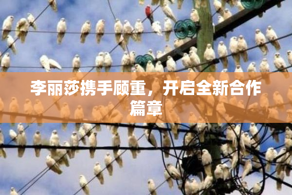 李丽莎携手顾重，开启全新合作篇章