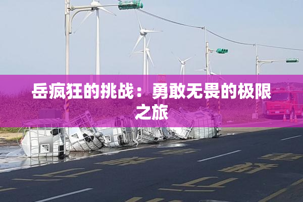 岳疯狂的挑战：勇敢无畏的极限之旅