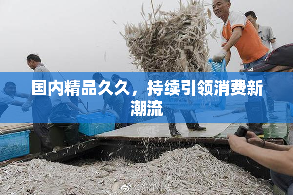 国内精品久久，持续引领消费新潮流