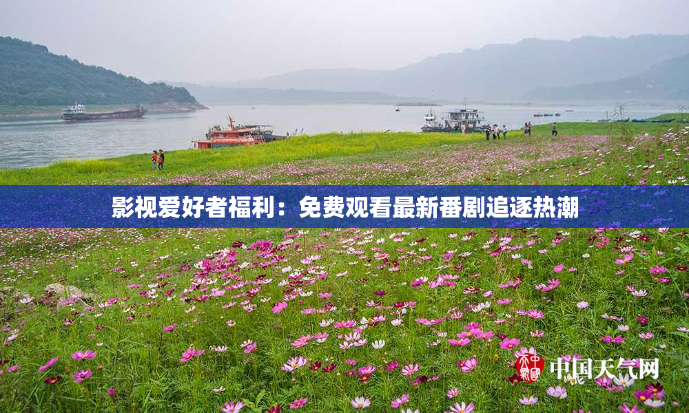 影视爱好者福利：免费观看最新番剧追逐热潮