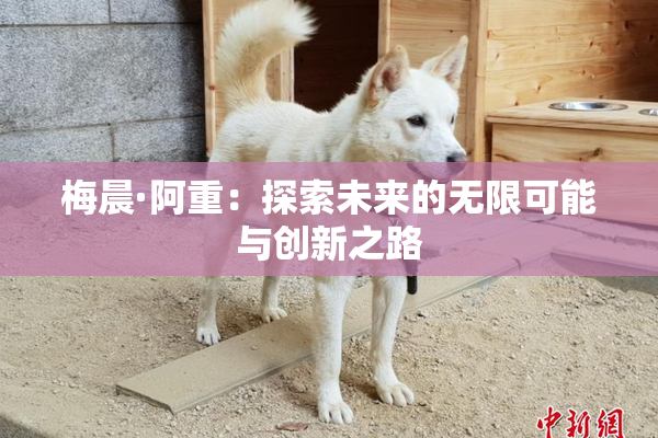 梅晨·阿重：探索未来的无限可能与创新之路