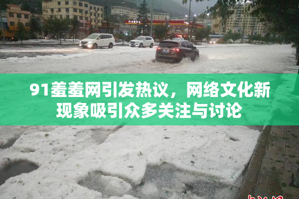 91羞羞网引发热议，网络文化新现象吸引众多关注与讨论