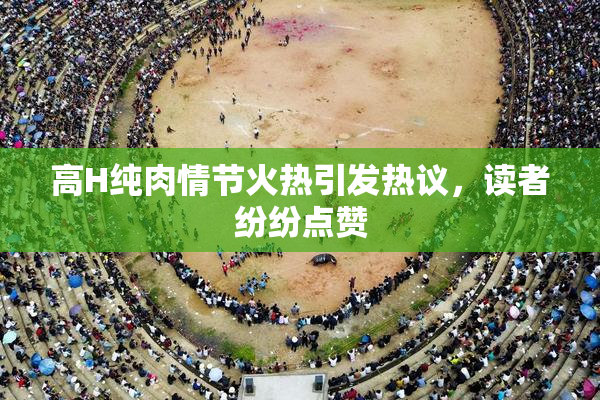 高H纯肉情节火热引发热议，读者纷纷点赞