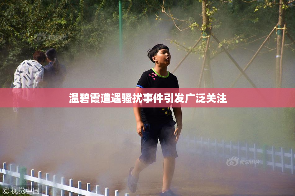 温碧霞遭遇骚扰事件引发广泛关注