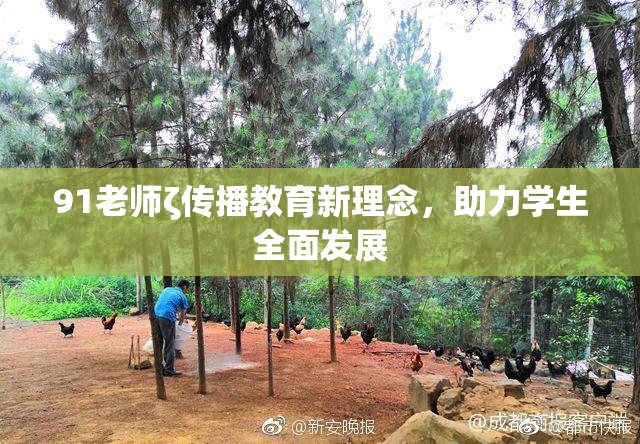 91老师ζ传播教育新理念，助力学生全面发展