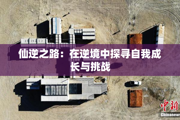 仙逆之路：在逆境中探寻自我成长与挑战