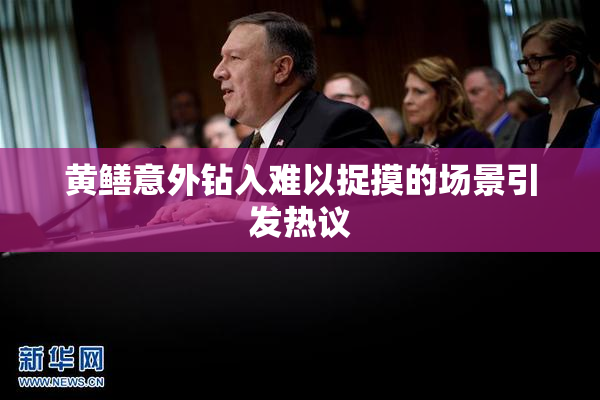 黄鳝意外钻入难以捉摸的场景引发热议