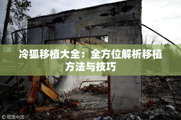 冷狐移植大全：全方位解析移植方法与技巧