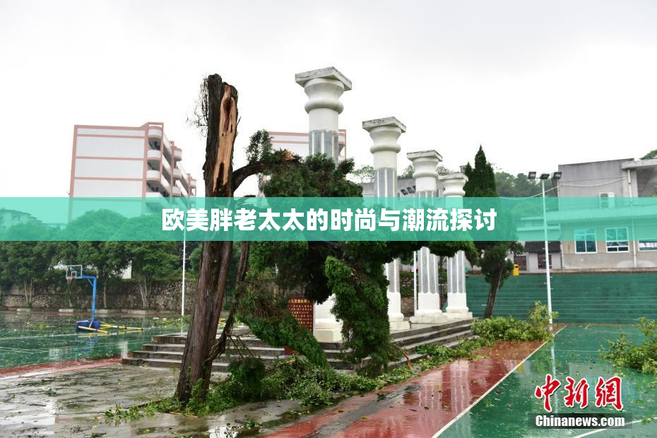 欧美胖老太太的时尚与潮流探讨