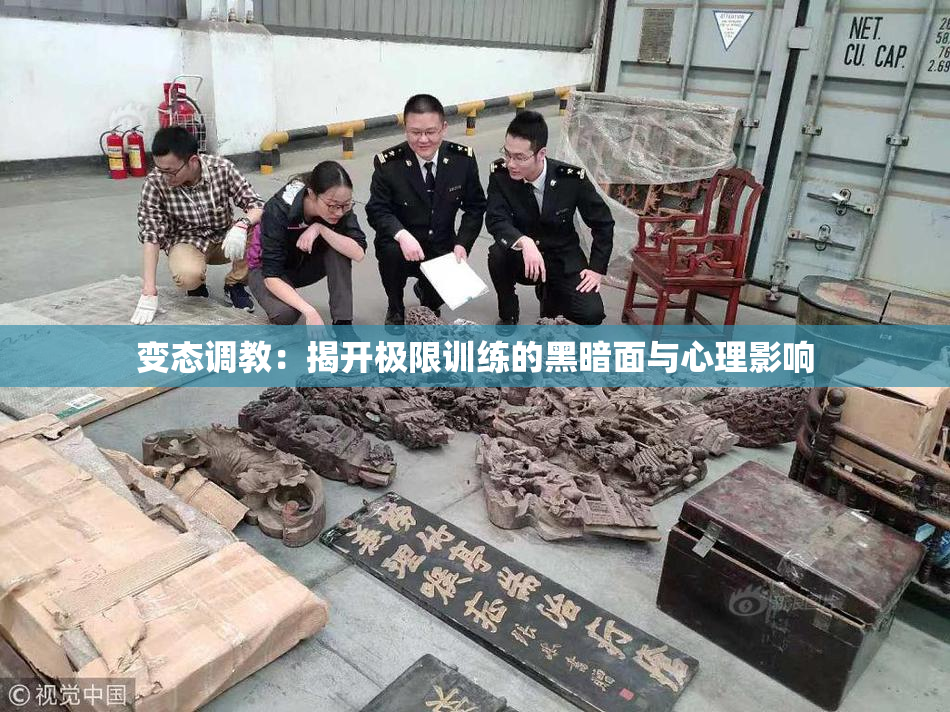 变态调教：揭开极限训练的黑暗面与心理影响