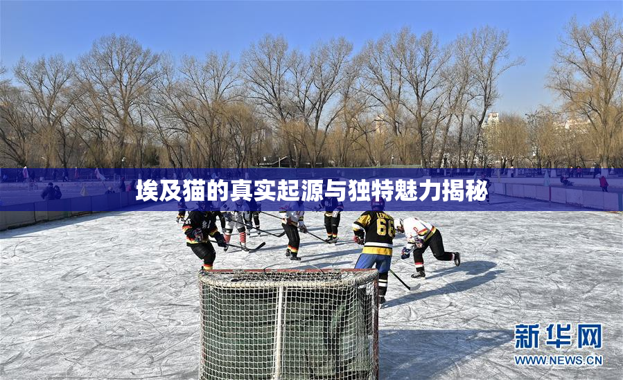 埃及猫的真实起源与独特魅力揭秘