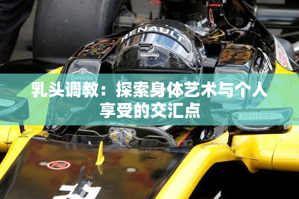 乳头调教：探索身体艺术与个人享受的交汇点