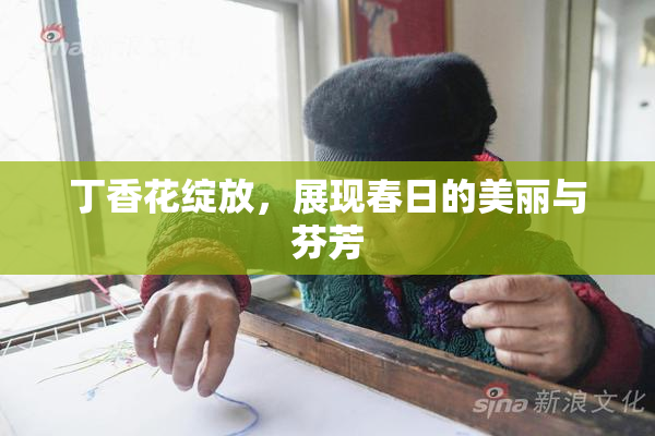 丁香花绽放，展现春日的美丽与芬芳